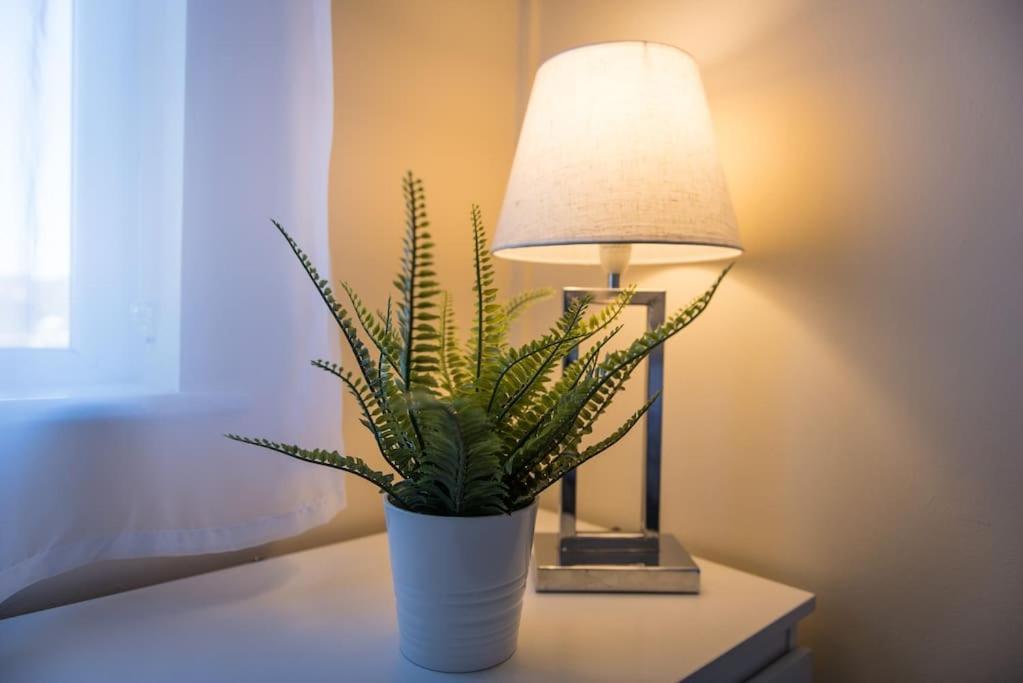 City Home From Home - Peaceful, Cosy & Modern 2Bed House Nottingham Exteriör bild